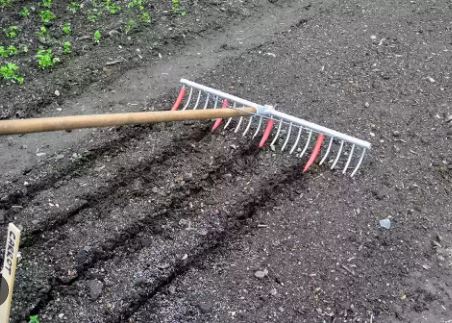 خدمات ادوات کشاورزی سبز نوین در تربت حیدریه